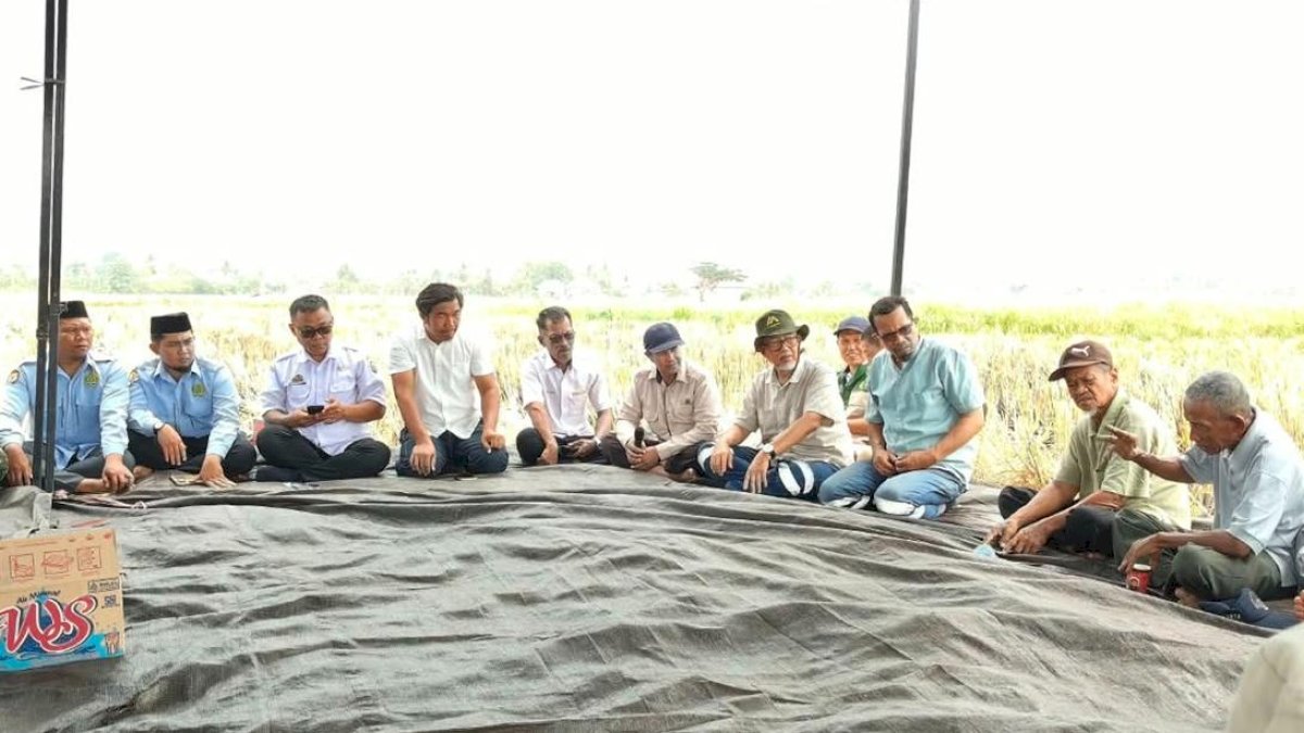 Panen Padi Desa Balla Capai 7,5 Ton per Hektare, Kontribusi Masmindo Turut Diapresiasi