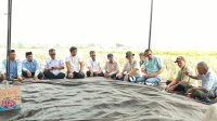 Panen Padi Desa Balla Capai 7,5 Ton per Hektare, Kontribusi Masmindo Turut Diapresiasi